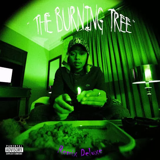 DOWNLOAD A-Reece The Burning Tree Remix Deluxe Album