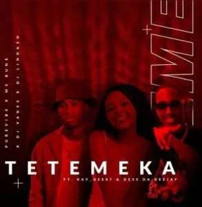 PureVibe, DJ Lindash, Ms Bune & DJ VansS – Tetemeka ft Kay Gee07 & Dess Da Deejay