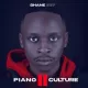 Shane907 – Piano Culture II EP
