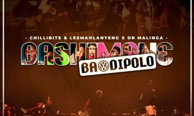 Chillibite, Lesmahlanyeng, Dr Malinga, Mapara A Jazz, Shandesh, Teammosha MRD, De Heavyweight – Bashimane Ba Di Polo