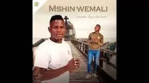 Mshinwemali Intombi Ayinkw’imali Album
