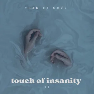 Thab De Soul Touch Of Insanity EP