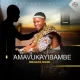 Amavukayibambe – Mkhaya wami Album