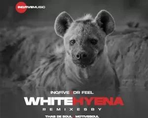 InQfive & Dr Feel – White Hyena (Thab De Soul Remix)