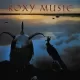 Roxy Music - The Space Between