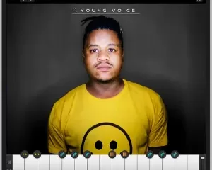 DJ Tears PLK – Young Voice Album